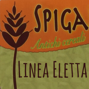 Linea Eletta